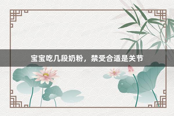 宝宝吃几段奶粉，禁受合适是关节